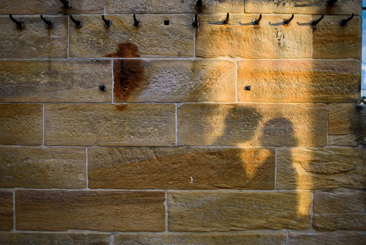 cockatoo island engagement photos