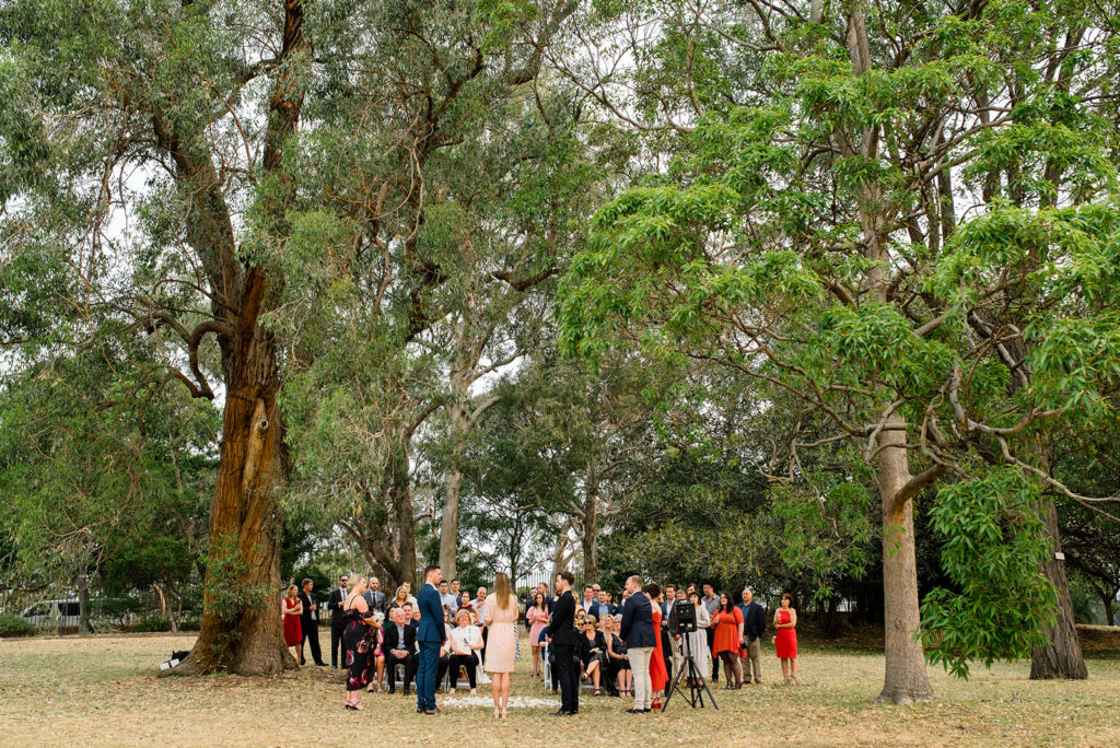 eucalypt lawn royal botanic garden