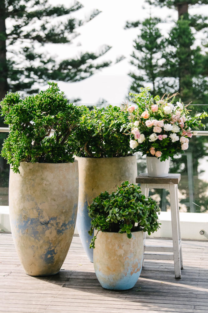 beachside dojo manly weddings