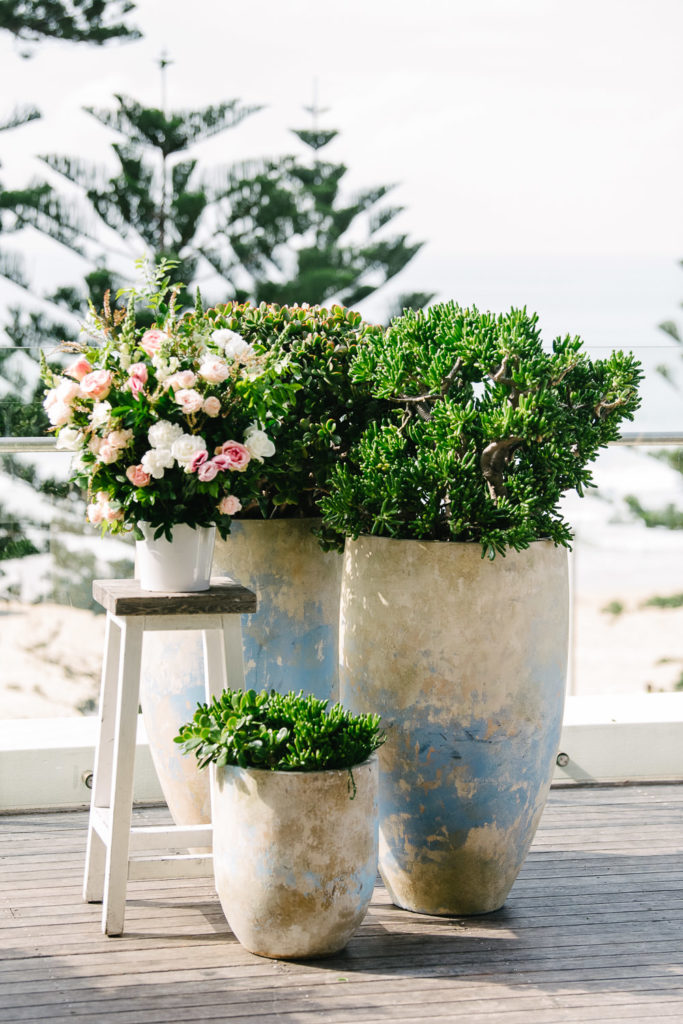 beachside dojo manly weddings