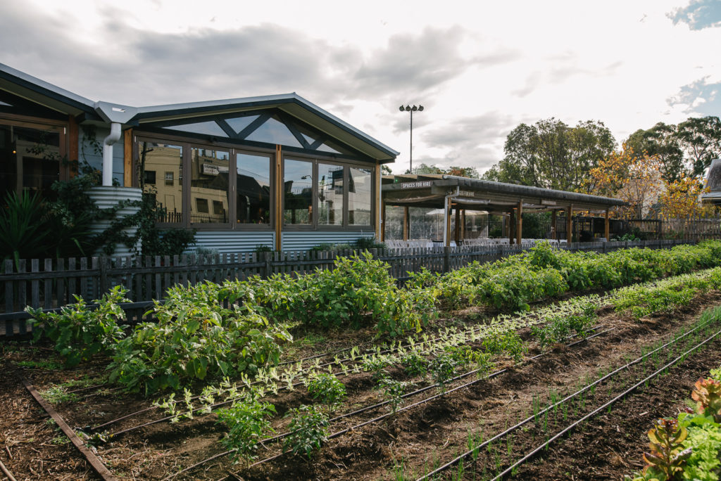 acre eatery wedding