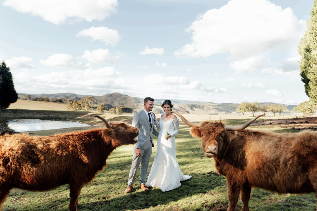 seclusion blue mountains