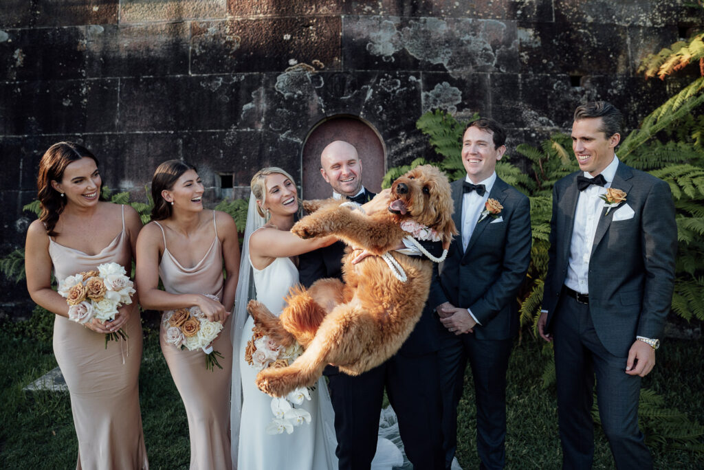 have fun with your doggie